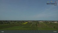 Archiv Foto Webcam Weinort Gols 07:00