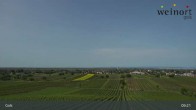 Archiv Foto Webcam Weinort Gols 08:00