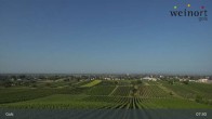 Archiv Foto Webcam Weinort Gols 07:00