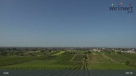Archiv Foto Webcam Weinort Gols 08:00