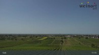 Archiv Foto Webcam Weinort Gols 10:00