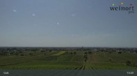Archiv Foto Webcam Weinort Gols 12:00