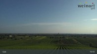Archiv Foto Webcam Weinort Gols 18:00