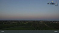 Archiv Foto Webcam Weinort Gols 04:00