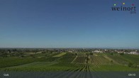 Archiv Foto Webcam Weinort Gols 08:00