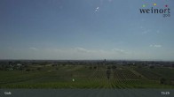 Archiv Foto Webcam Weinort Gols 14:00