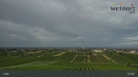 Archiv Foto Webcam Weinort Gols 06:00