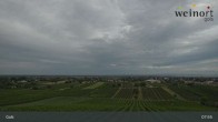Archiv Foto Webcam Weinort Gols 07:00