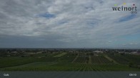 Archiv Foto Webcam Weinort Gols 08:00