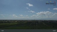 Archiv Foto Webcam Weinort Gols 12:00