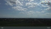 Archiv Foto Webcam Weinort Gols 14:00