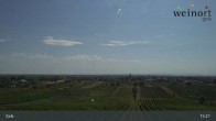 Archiv Foto Webcam Weinort Gols 14:00