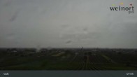Archiv Foto Webcam Weinort Gols 07:00
