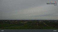 Archiv Foto Webcam Weinort Gols 06:00