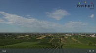 Archiv Foto Webcam Weinort Gols 08:00