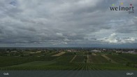 Archiv Foto Webcam Weinort Gols 08:00