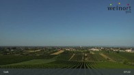 Archiv Foto Webcam Weinort Gols 06:00