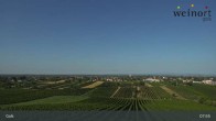 Archiv Foto Webcam Weinort Gols 07:00