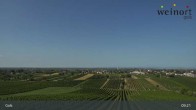 Archiv Foto Webcam Weinort Gols 08:00