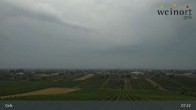 Archiv Foto Webcam Weinort Gols 06:00