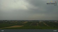 Archiv Foto Webcam Weinort Gols 07:00