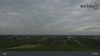 Archiv Foto Webcam Weinort Gols 06:00