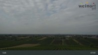 Archiv Foto Webcam Weinort Gols 07:00