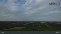 Archiv Foto Webcam Weinort Gols 06:00