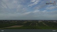 Archiv Foto Webcam Weinort Gols 07:00