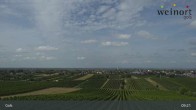 Archiv Foto Webcam Weinort Gols 08:00