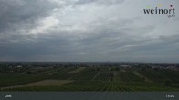 Archiv Foto Webcam Weinort Gols 12:00