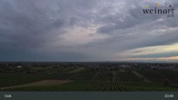 Archiv Foto Webcam Weinort Gols 02:00