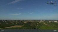 Archiv Foto Webcam Weinort Gols 07:00