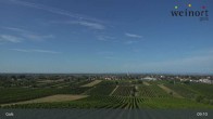 Archiv Foto Webcam Weinort Gols 08:00