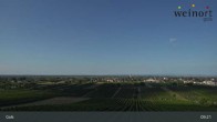 Archiv Foto Webcam Weinort Gols 08:00