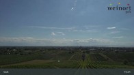 Archiv Foto Webcam Weinort Gols 14:00