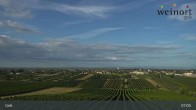 Archiv Foto Webcam Weinort Gols 06:00