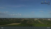Archiv Foto Webcam Weinort Gols 07:00
