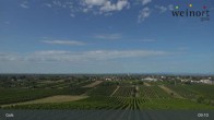 Archiv Foto Webcam Weinort Gols 08:00