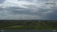 Archiv Foto Webcam Weinort Gols 12:00