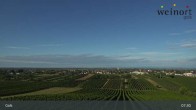Archiv Foto Webcam Weinort Gols 07:00