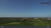 Archiv Foto Webcam Weinort Gols 08:00