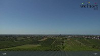 Archiv Foto Webcam Weinort Gols 10:00