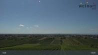 Archiv Foto Webcam Weinort Gols 12:00