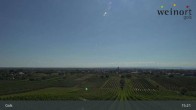 Archiv Foto Webcam Weinort Gols 14:00