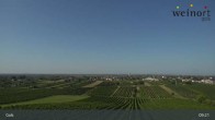 Archiv Foto Webcam Weinort Gols 08:00