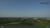 Archiv Foto Webcam Weinort Gols 02:00