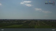 Archiv Foto Webcam Weinort Gols 07:00