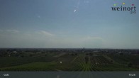 Archiv Foto Webcam Weinort Gols 09:00