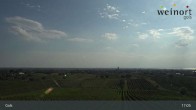 Archiv Foto Webcam Weinort Gols 11:00